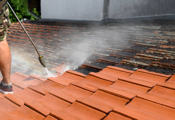 Best Residential Pressure Washing Services  in Lavallette, NJ